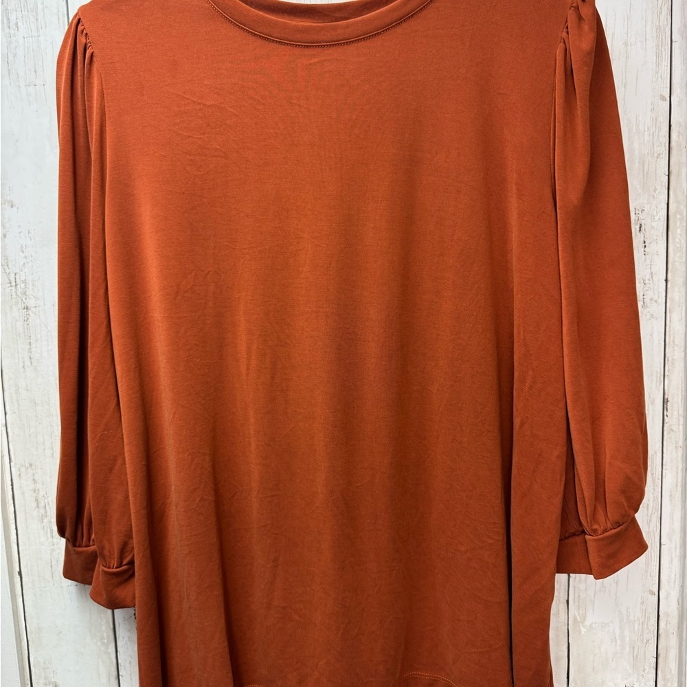 Ava & Viv Women's Terracotta Blouse size 1X
